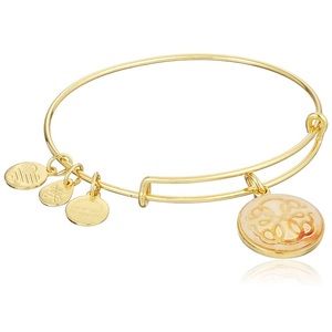 Alex and Ani Art Infusion Path of Light Bangle